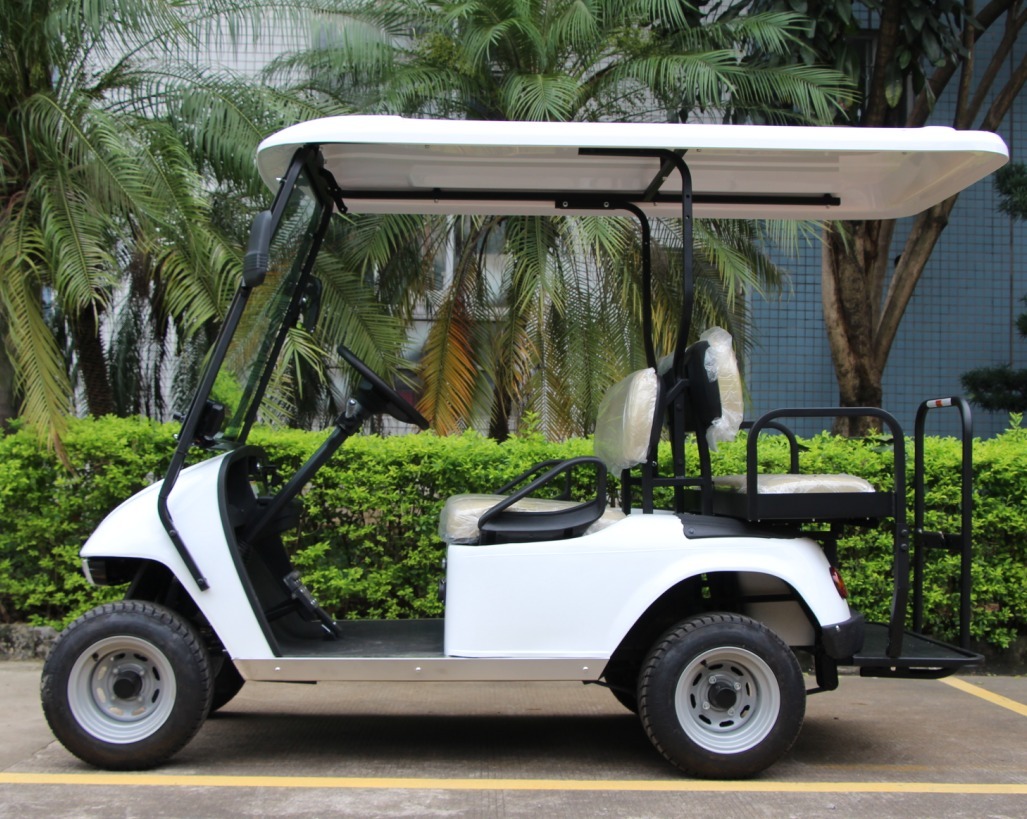 תמונה של WhatsApp‏ 2024-10-09 בשעה 11.52.54_1dcc516f