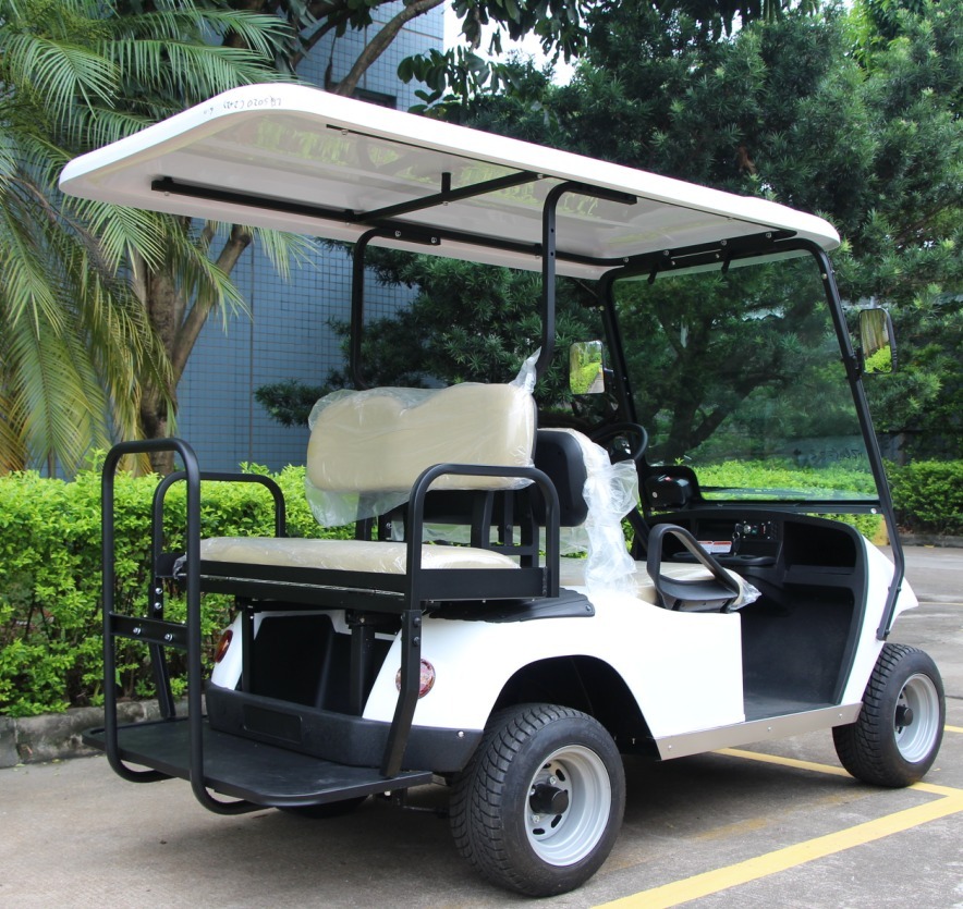 תמונה של WhatsApp‏ 2024-10-09 בשעה 11.52.54_22242533