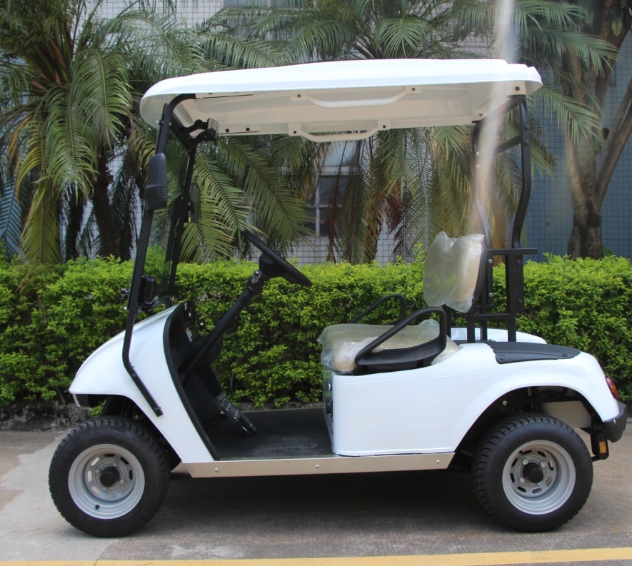 תמונה של WhatsApp‏ 2024-10-09 בשעה 11.55.57_bcac1e5f