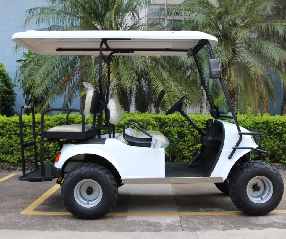 תמונה של WhatsApp‏ 2024-10-09 בשעה 11.57.22_b12bab40