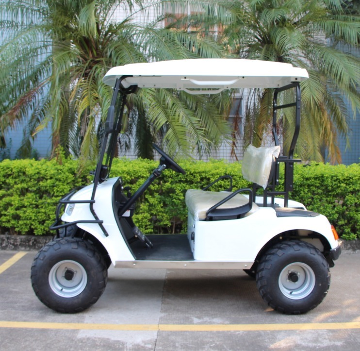 תמונה של WhatsApp‏ 2024-10-09 בשעה 11.58.06_441b1f64